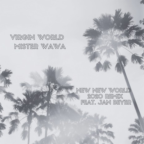 Virgin World (New New World 2020 Remix) ft. Jan Beyer | Boomplay Music