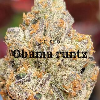 Obama runtz