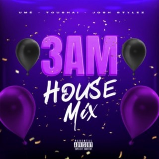 3 AM (House Mix) (Josh Stylez Remix)