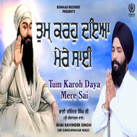 Tum Karo Daya Mere Sai | Boomplay Music