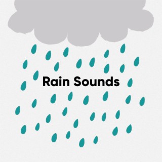 Rain Sounds: Gentle and Pure Rain Noises for Soothing Moments