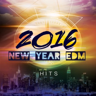 2016 New Year EDM Hits