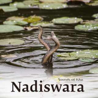 Nadiswara