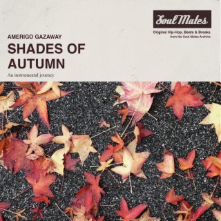 SEASONS: Shades of Autumn