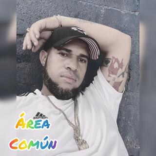 Area Comun