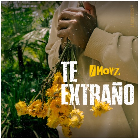 Te Extraño | Boomplay Music