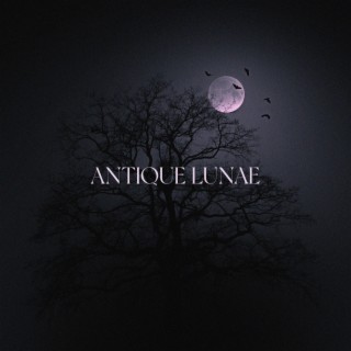 Antique Lunae