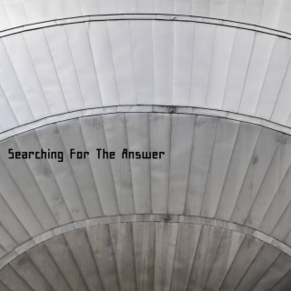 Searching For The Answer