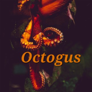 Octogus