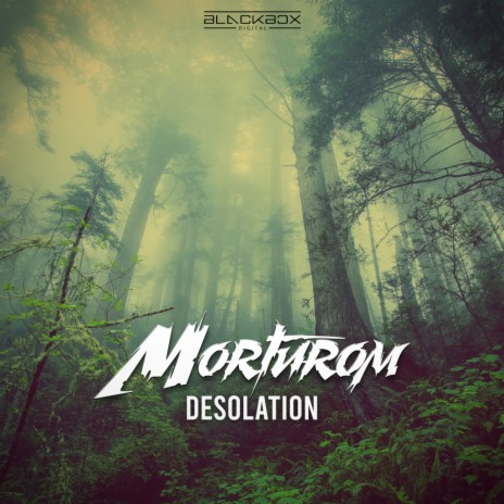Desolation (Original Mix) | Boomplay Music