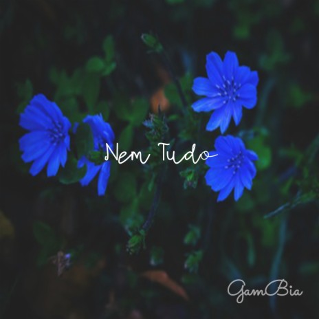 Nem Tudo | Boomplay Music