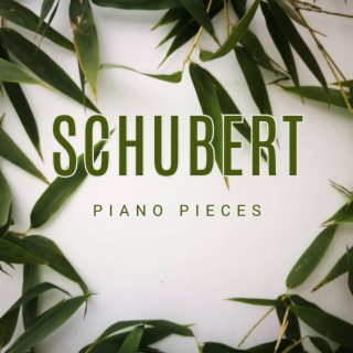 Schubert - Piano Pieces