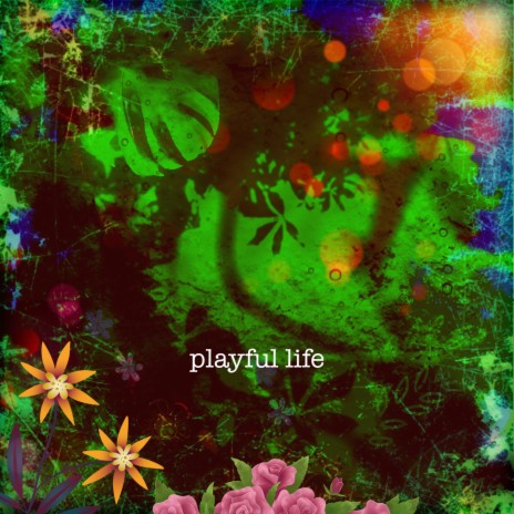 Playful Life | Boomplay Music