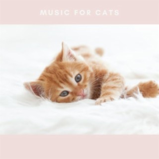 Music To Relax Your Cat