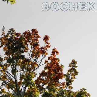 Bochek