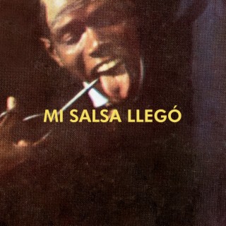 Mi Salsa Llegó