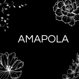 Amapola (En Vivo)