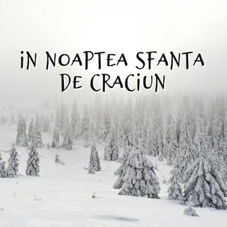 In Noaptea Sfanta De Craciun