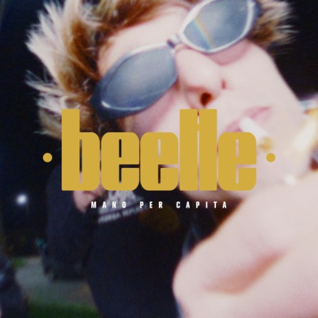 Beetle | Boomplay Music