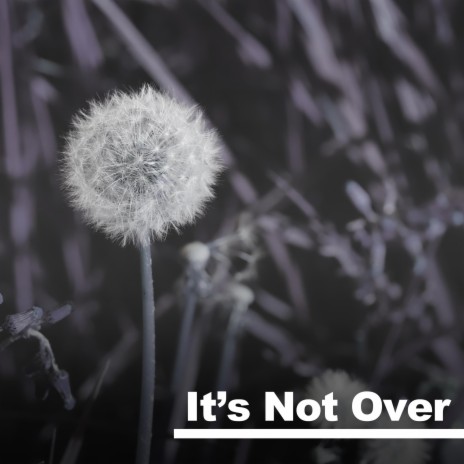 It's Not Over | Boomplay Music