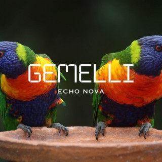 Gemelli