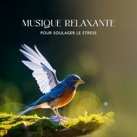 Oiseaux De Printemps Dans La Forêt | Boomplay Music