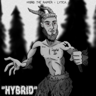 Hybrid