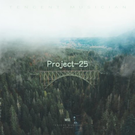 Project-25