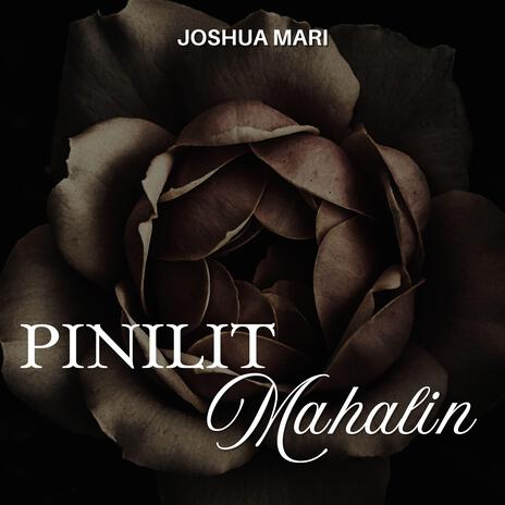 Pinilit Mahalin | Boomplay Music