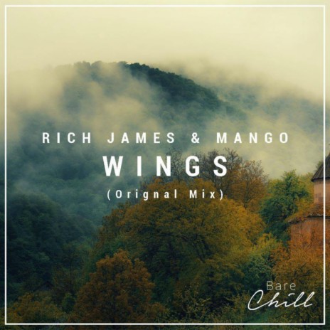 Wings (with Rich James) | Boomplay Music