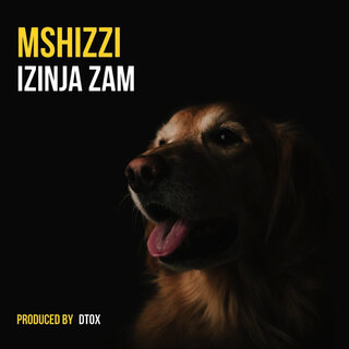 Zinja Zam