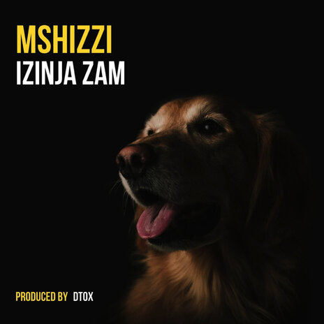 Zinja Zam | Boomplay Music