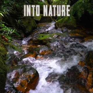 Into Nature