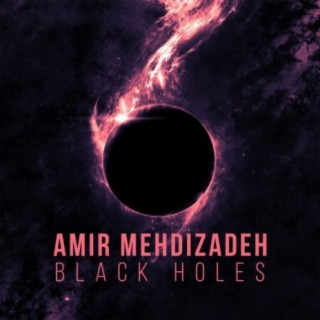 Black Holes