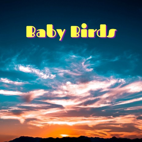 Baby Birds | Boomplay Music