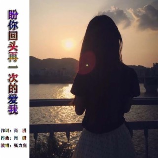 盼你回头再一次的爱我（慢四） lyrics | Boomplay Music