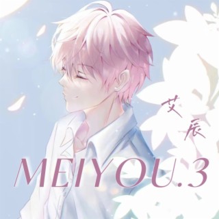 MEIYOU 3