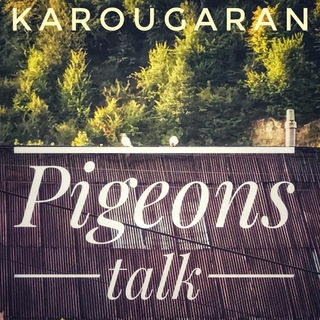 Pigeons Talk