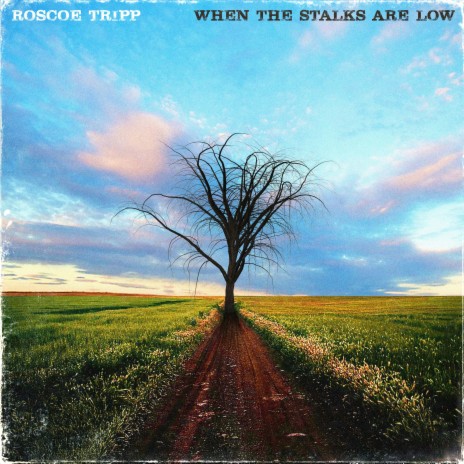 When the Stalks Are Low | Boomplay Music