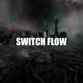 SWITCH FLOW