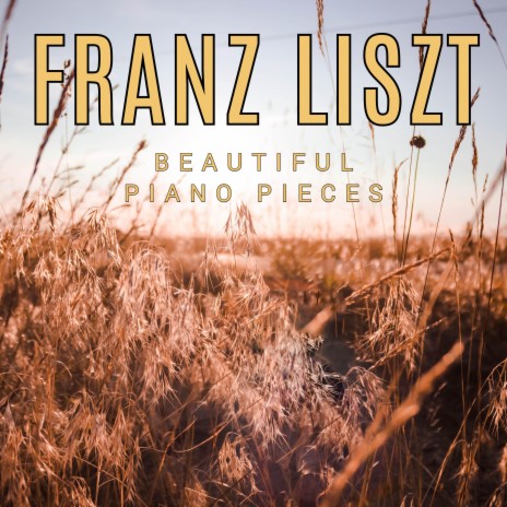 Mephisto Waltz No.3: Franz Liszt