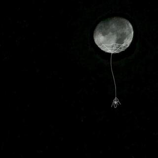 Jump Off The Roof to Touch The Moon