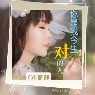 你是我今生对的人 lyrics | Boomplay Music