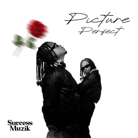 Picture Perfect | Boomplay Music