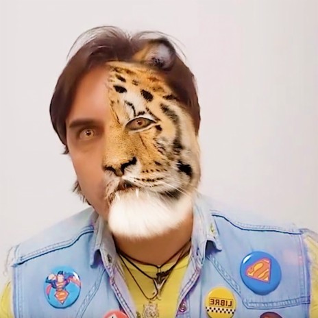 Tigre