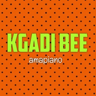 Kgadi bee