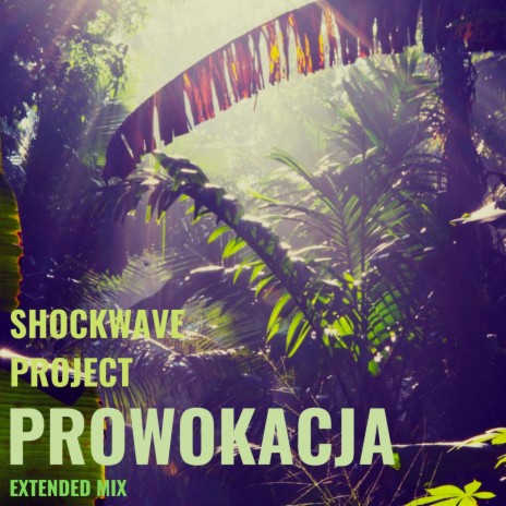 Prowokacja (Extended) | Boomplay Music