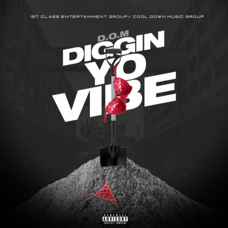 Diggin Yo Vibe | Boomplay Music