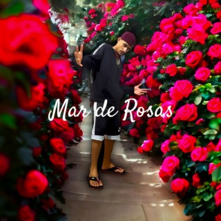 Mar de Rosas