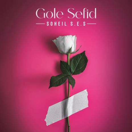 Gole Sefid | Boomplay Music